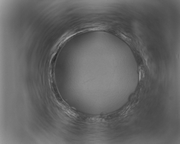 X0000051240339200507082130