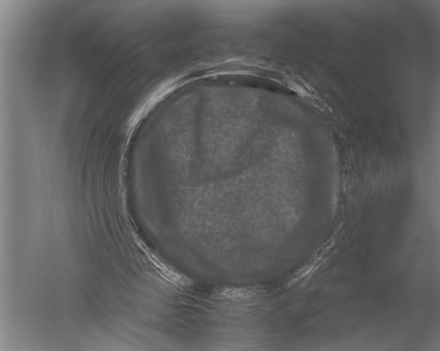 X0000051240341200507082130