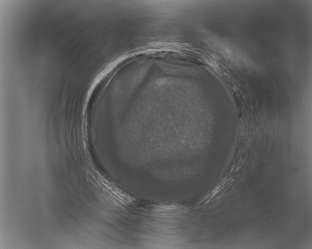 X0000051240342200507082130