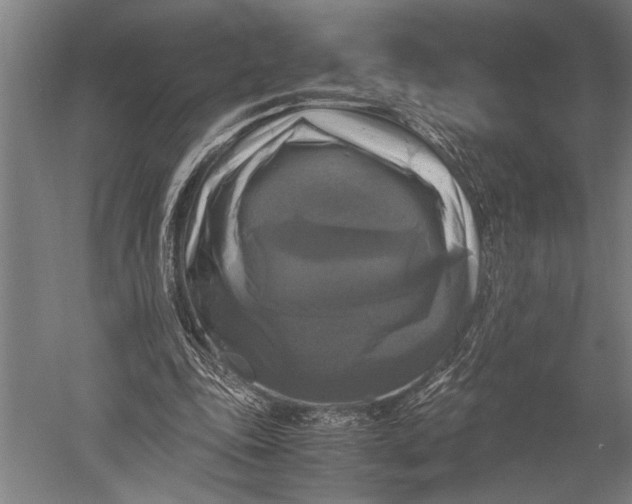 X0000051240343200507082130