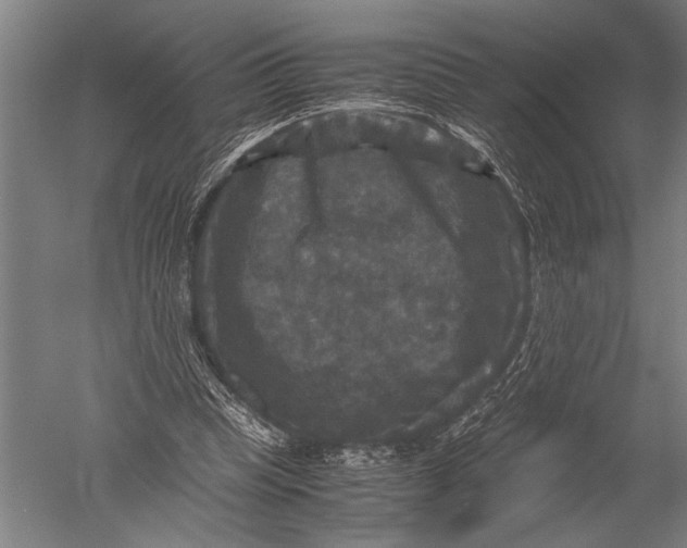 X0000051240345200507082130