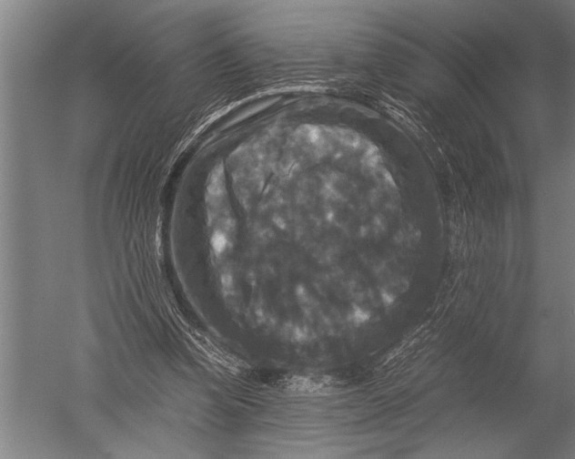 X0000051240346200507082130