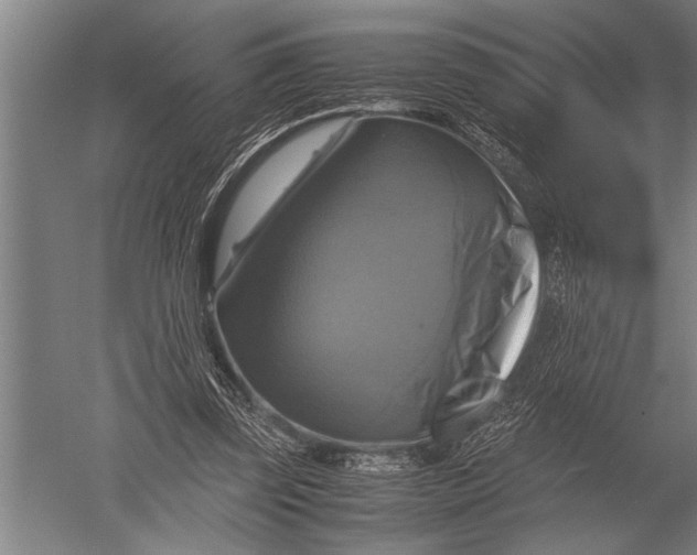 X0000051240347200507082130