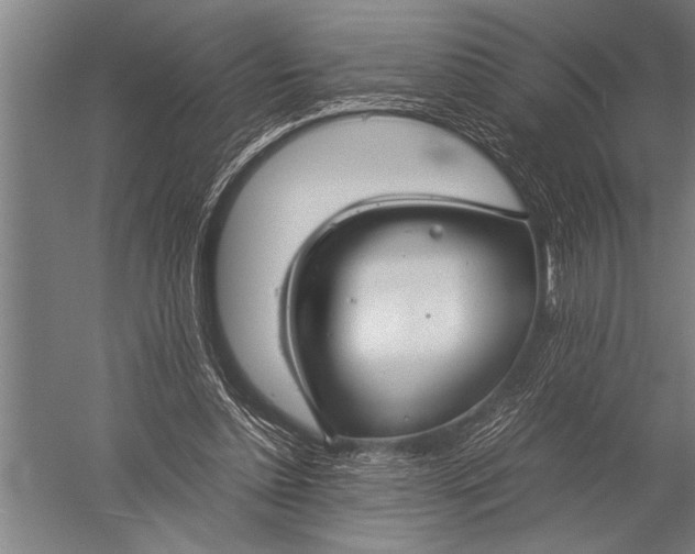 X0000051240348200507082130