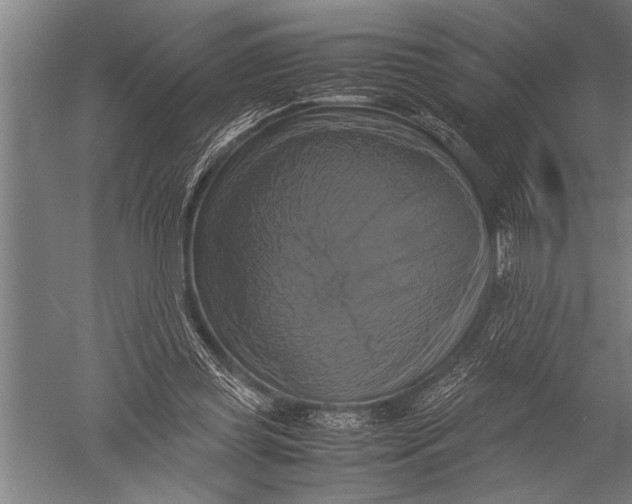 X0000051240349200507082130