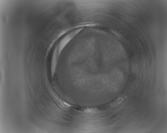 X0000051240350200507082130