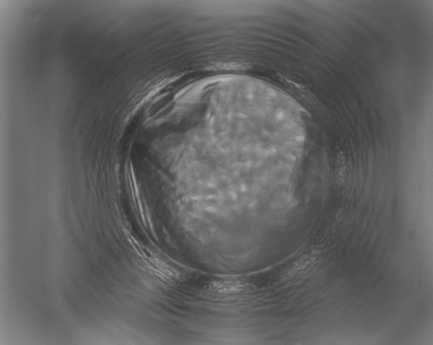 X0000051240351200507082130