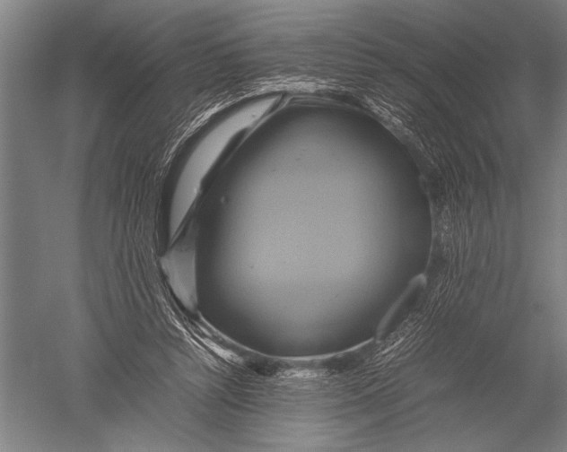 X0000051240352200507082130