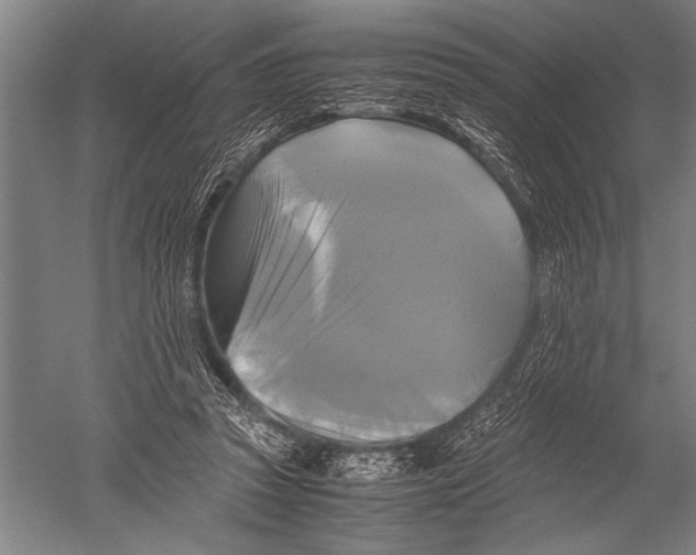 X0000051240353200507082130