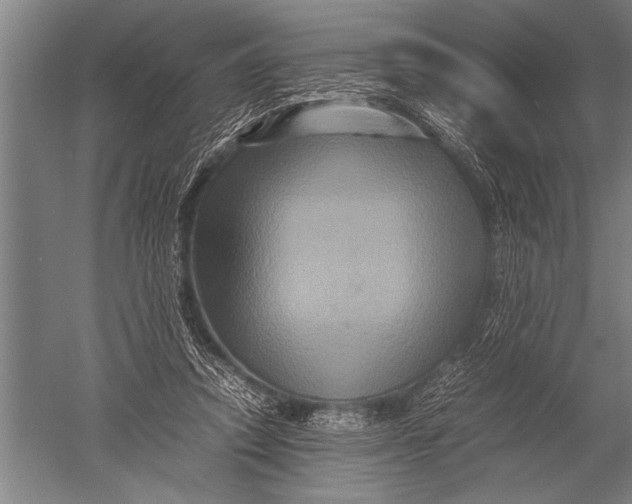 X0000051240354200507082130