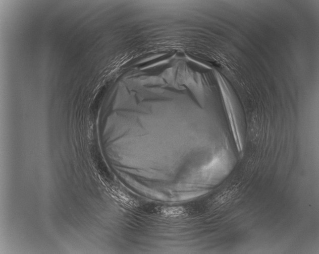 X0000051240355200507082130