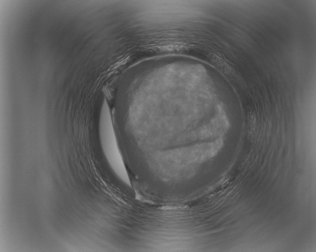 X0000051240356200507082130