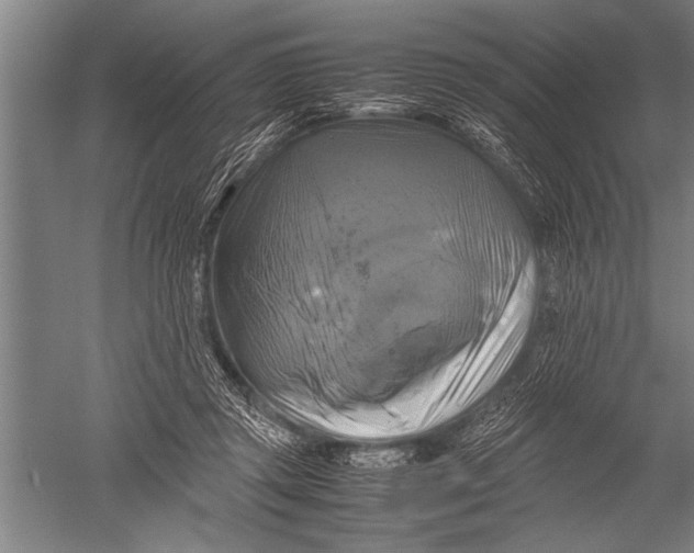 X0000051240357200507082130