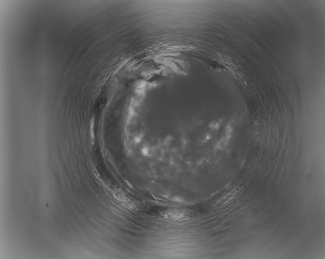 X0000051240358200507082130