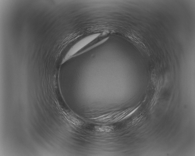 X0000051240359200507082130