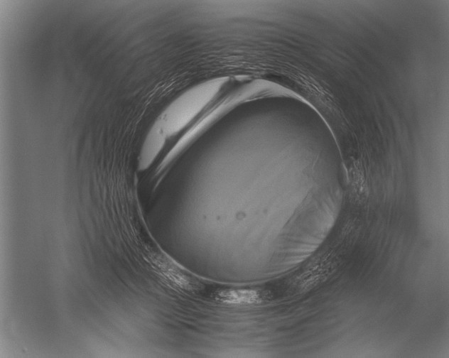 X0000051240361200507082130