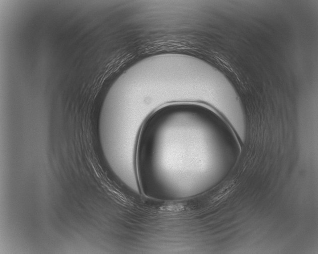 X0000051240362200507082130