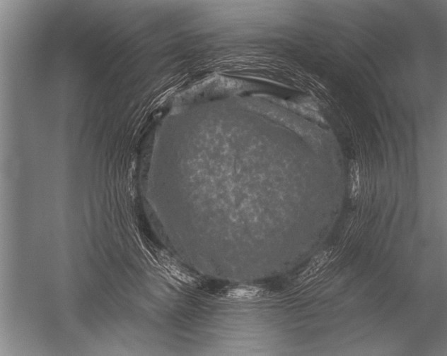 X0000051240364200507082130