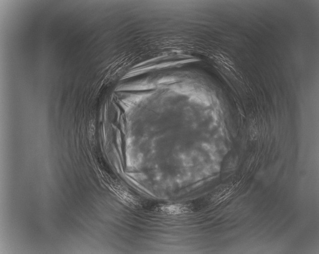 X0000051240365200507082130