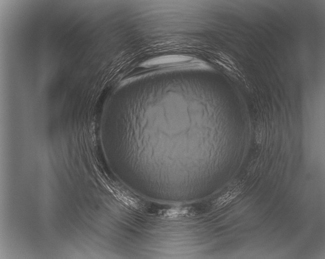 X0000051240366200507082130