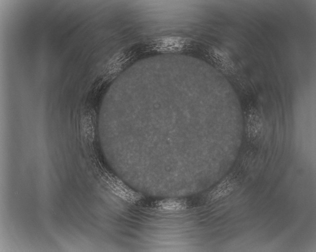 X0000051240370200507082130