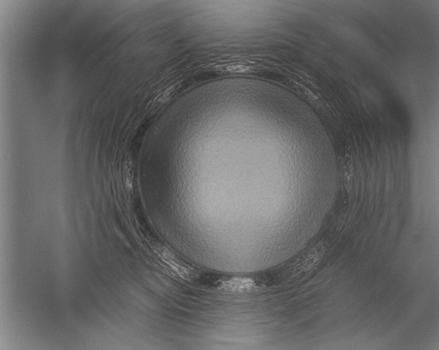 X0000051240374200507082130