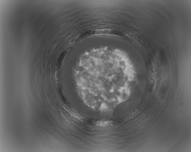 X0000051240375200507082130