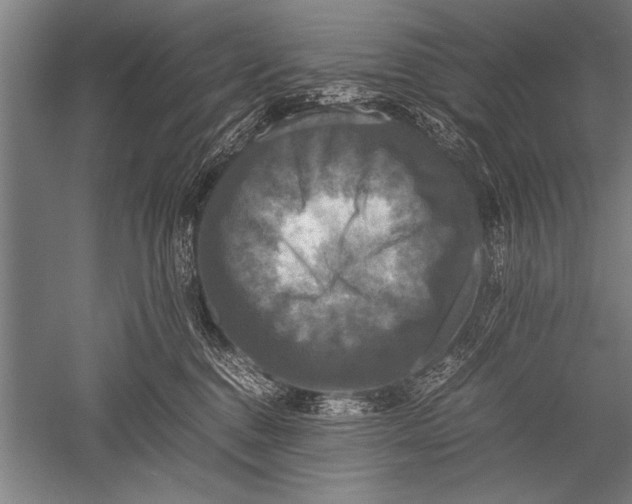 X0000051240376200507082130