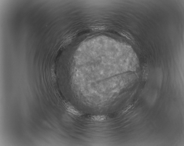 X0000051240377200507082130