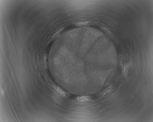 X0000051240378200507082130