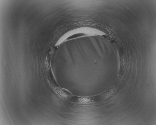 X0000051240380200507082130