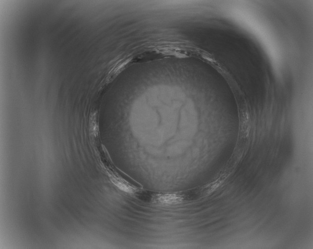 X0000051240383200507082130