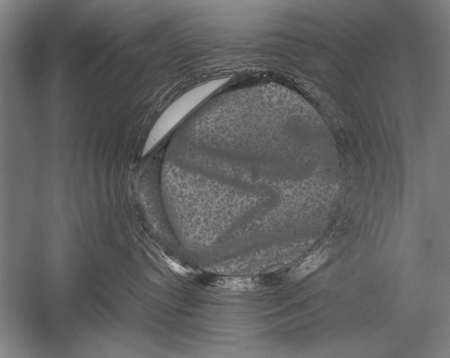 X0000051240384200507082130