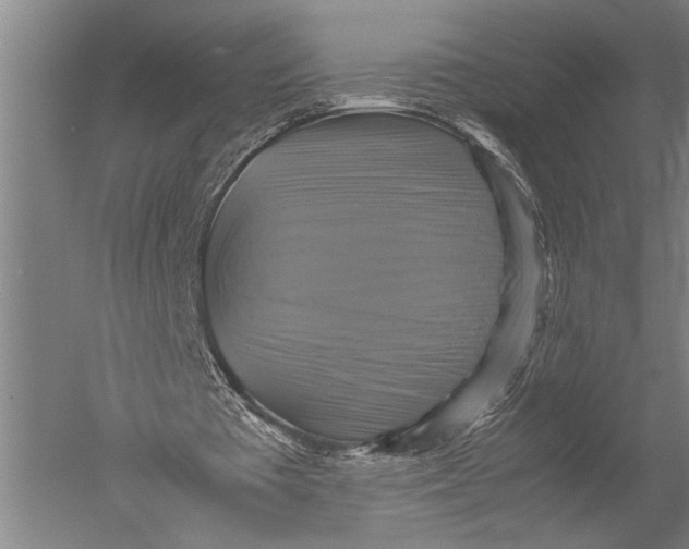 X0000051240385200507082130