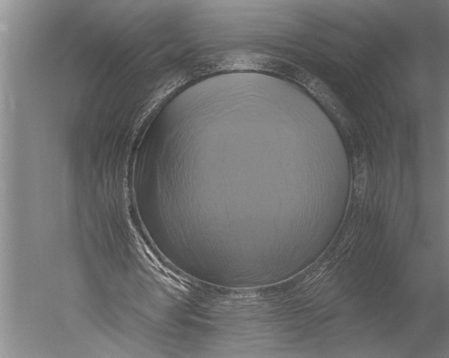 X0000051240386200507082130