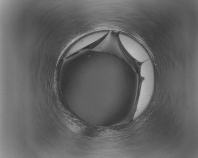 X0000051240387200507082130