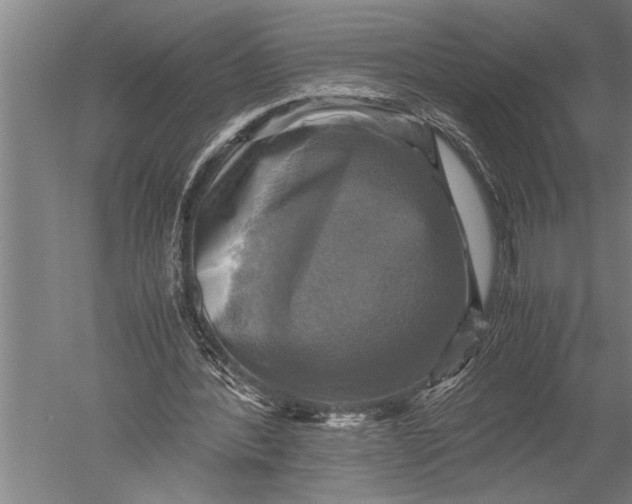 X0000051240388200507082130