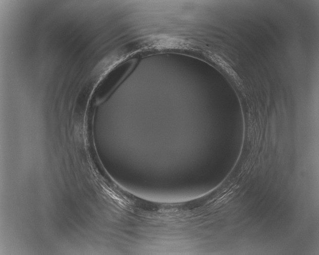 X0000051240391200507082130