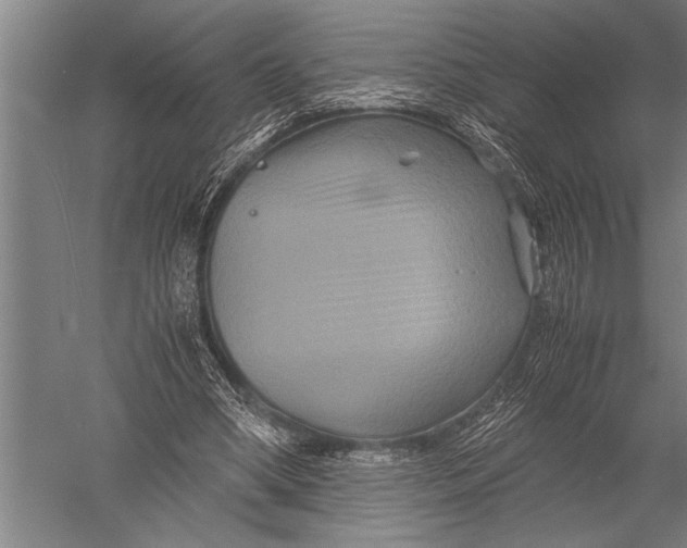 X0000051240394200507082130