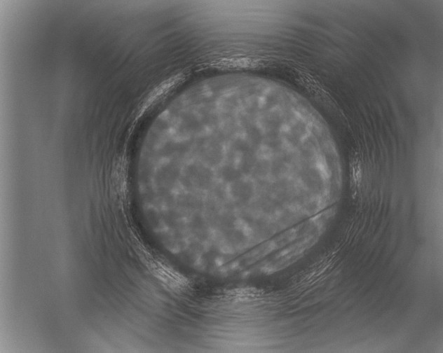 X0000051240396200507082129