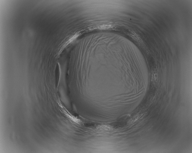 X0000051240397200507082129