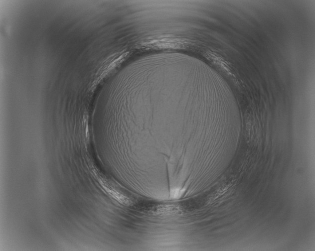 X0000051240398200507082129