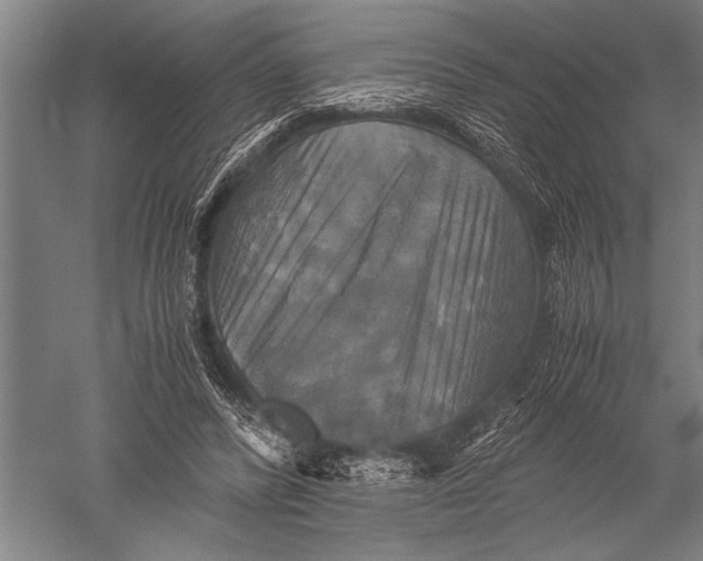 X0000051240400200507082129