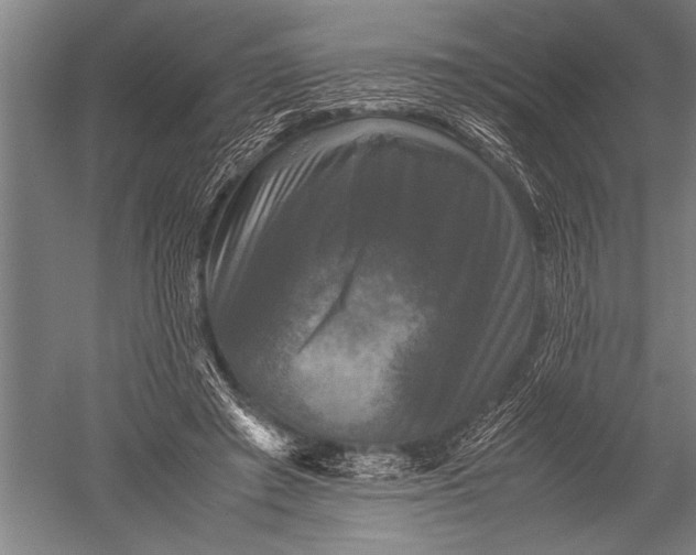 X0000051240401200507082129