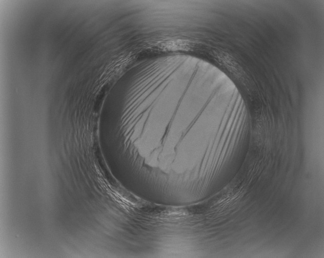 X0000051240402200507082129