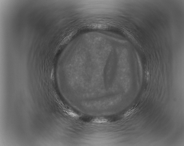 X0000051240403200507082129