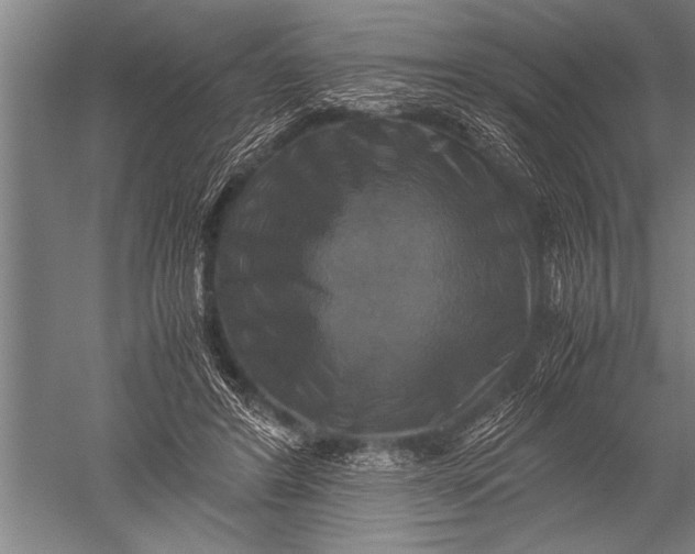 X0000051240404200507082129