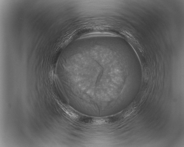 X0000051240405200507082129