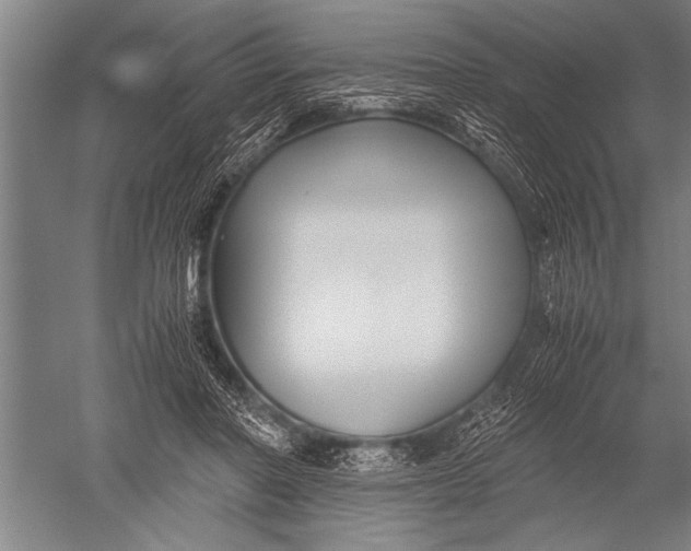 X0000051240406200507082129