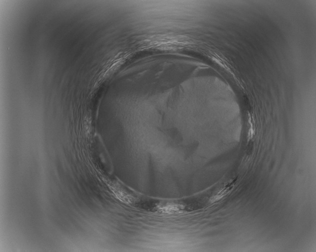 X0000051240407200507082129